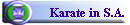 Karate in S.A.