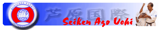 Seiken Ago Uchi - Ashihara Karate International - Kaicho Hoosain Narker