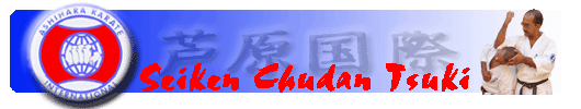 Seiken Chudan Tsuki