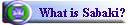 What is Sabaki?