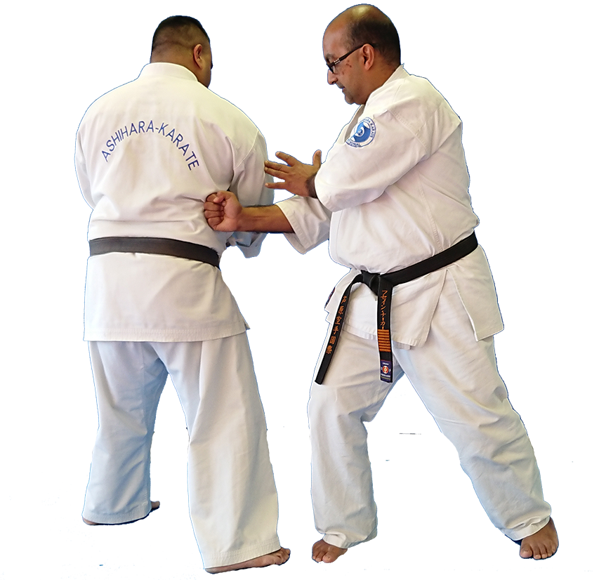 Street Fight Karate Ashihara Style Ashihara Karate International