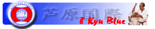 8 Kyu Blue