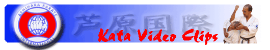 Kata Video Clips