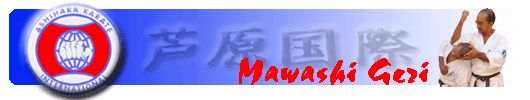 Mawashi Geri