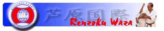 Renzoku Waza Renzoku Waza