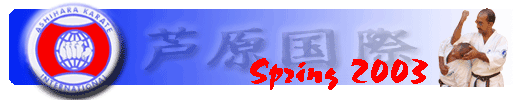 Spring 2003