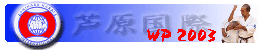 WP 2003